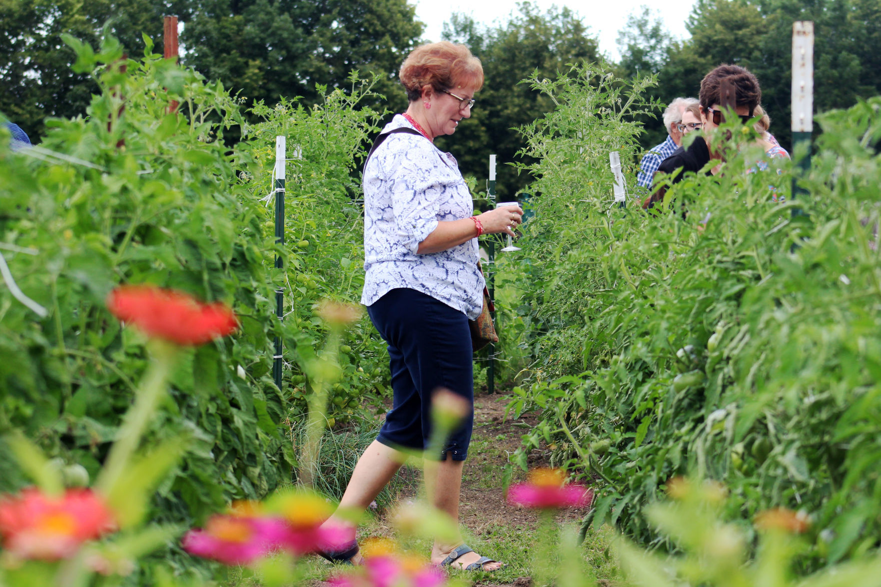 3rd Annual Farm to Table Dinner